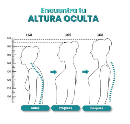 Corrector de Postura
